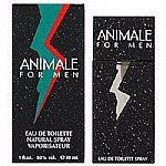 Animale Masculino
